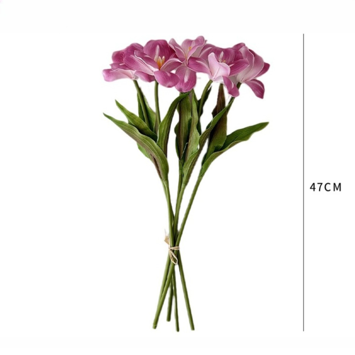 18.5 Inches Single Stem Open T - Photography Hotel ulasan dan harga