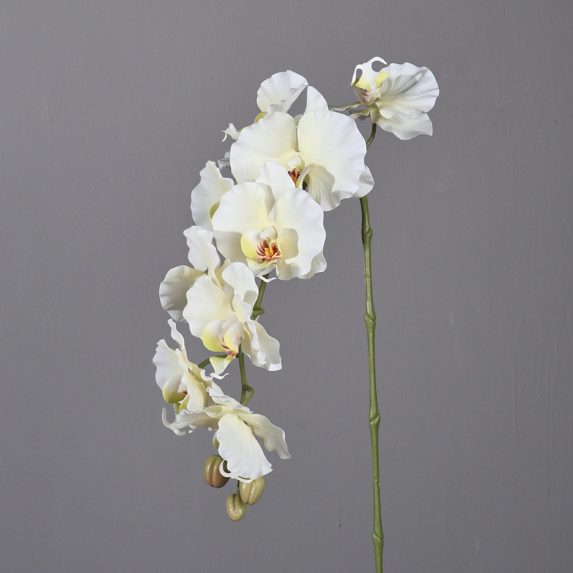 38.6 Inch 9 Heads Korean Style - Photography Hotel ulasan dan harga