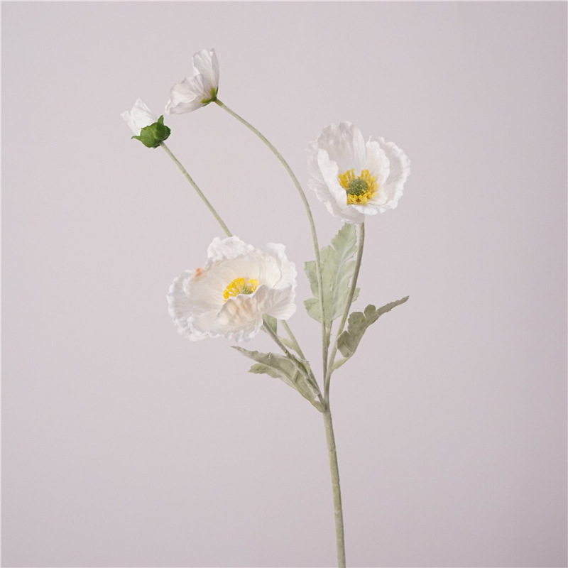 25.2 Inch Single Stem High Qua - Photography Hotel ulasan dan harga
